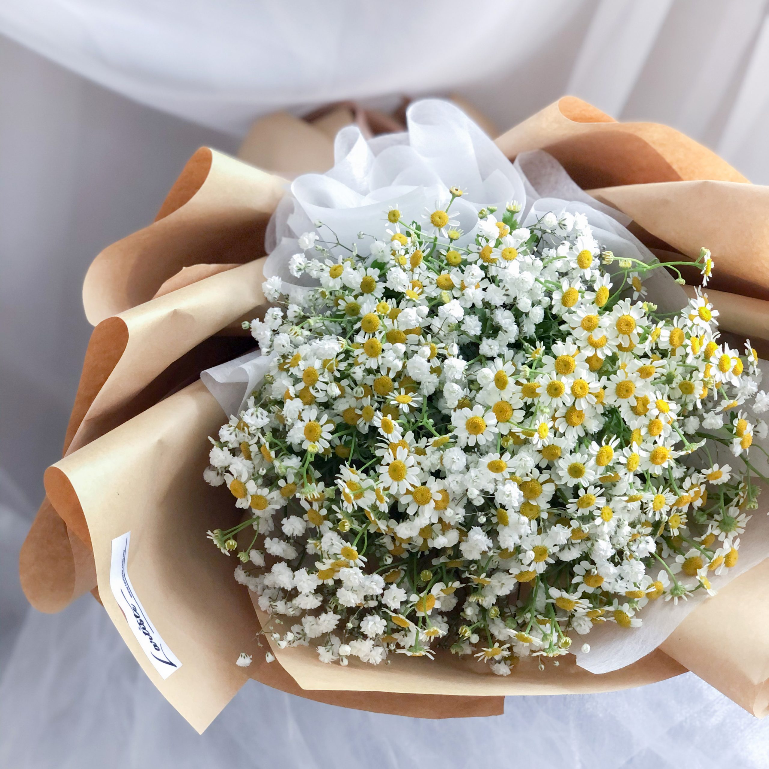 Chamomile Bouquet - L size - Lartiste - KL Florist