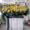 sympathy stand 09