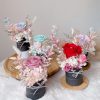 Preserved Flowers Mini Box 01
