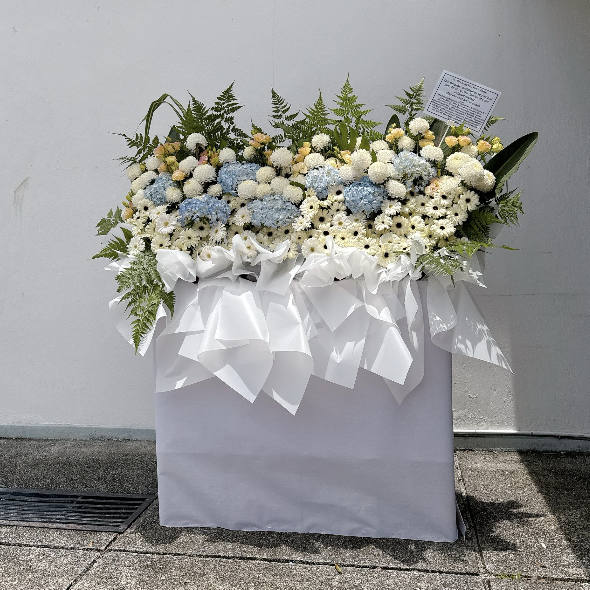 Sympathy Stand 12